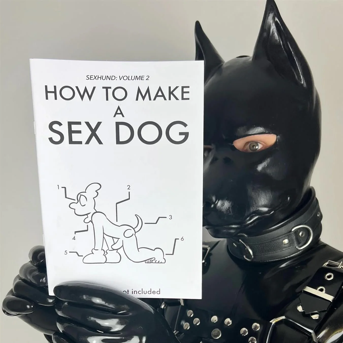 How to Make a Sex Dog V2 (A5 Zine)