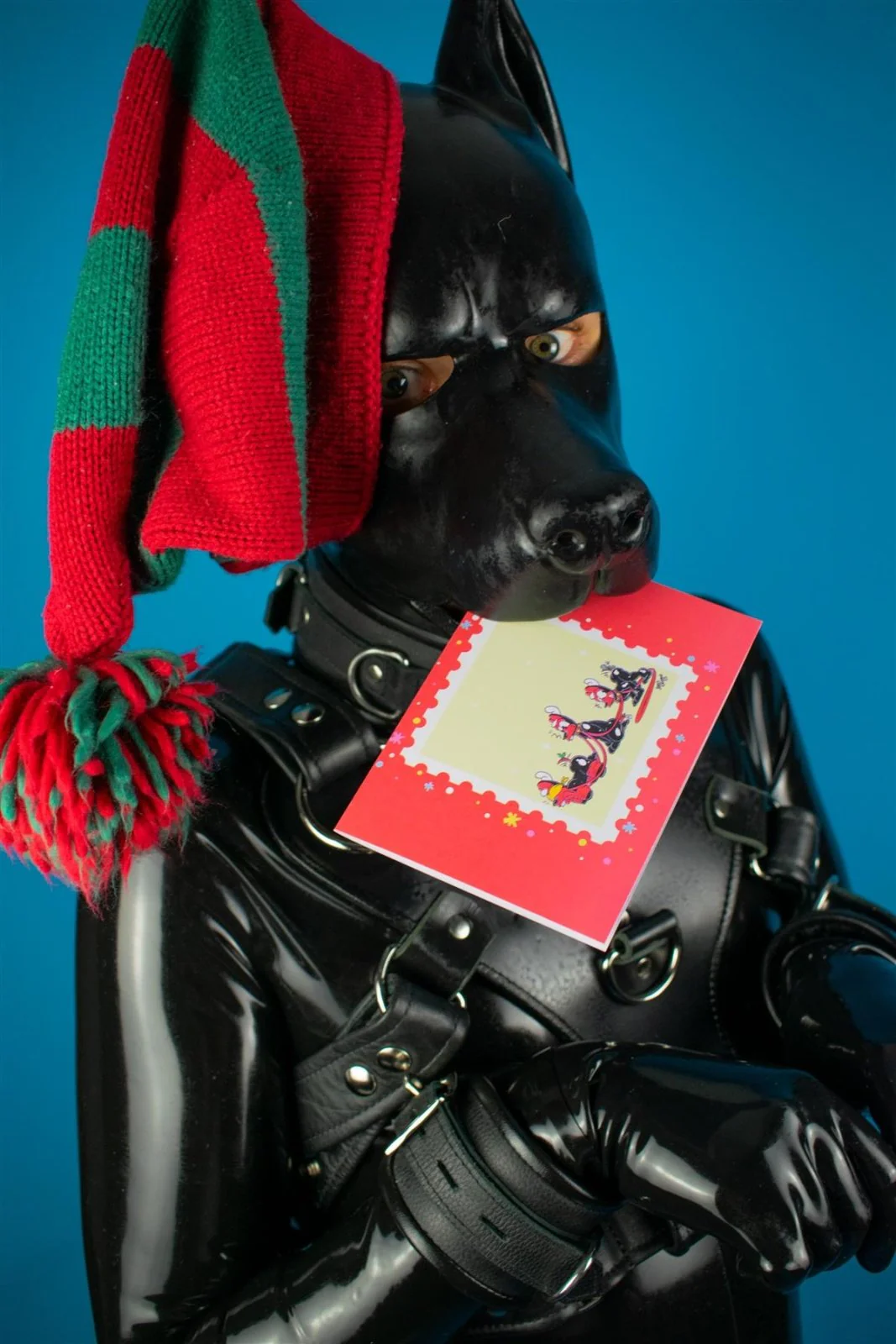 "Sex Dogs" Xmas Card Pack - Image 3