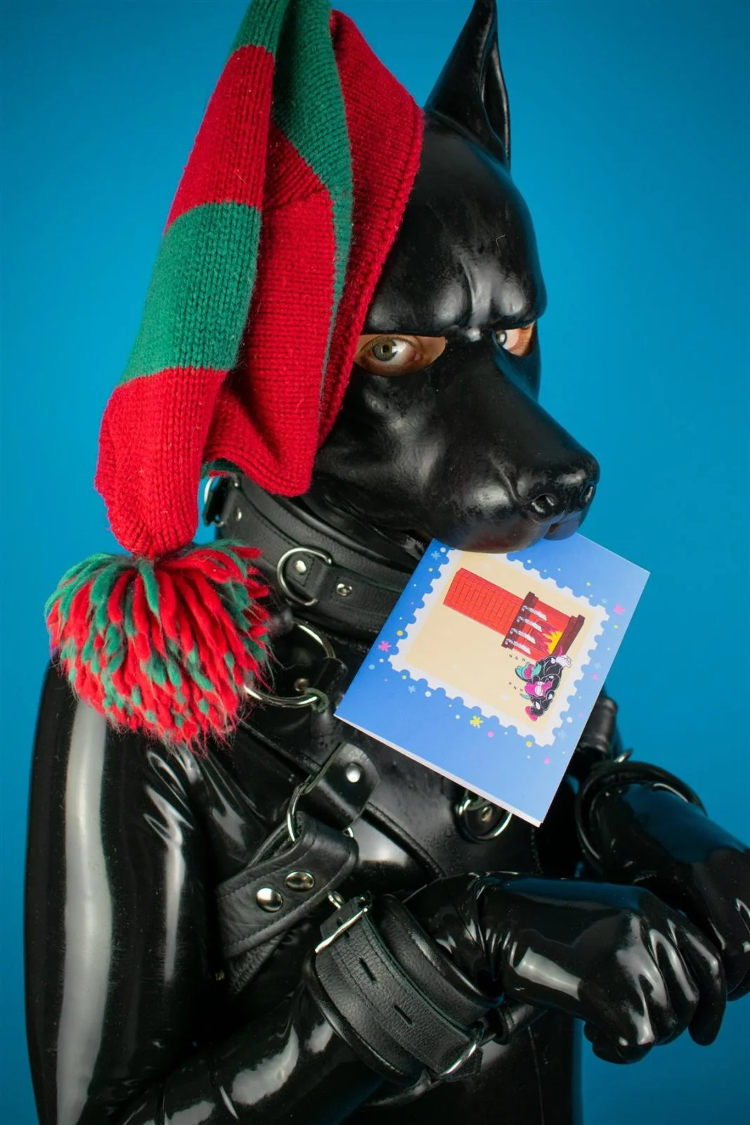 "Sex Dogs" Xmas Card Pack - Image 5