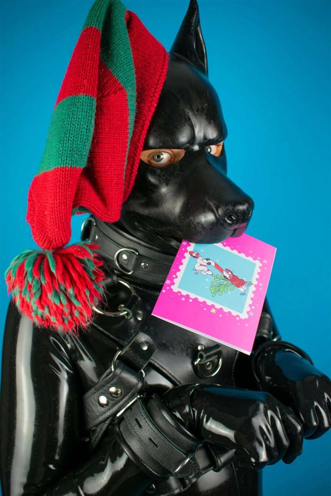 "Sex Dogs" Xmas Card Pack - Image 6