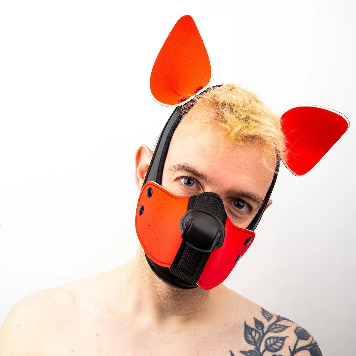 Mistr Bear Neo K9 Pup Hood with Ears, Red