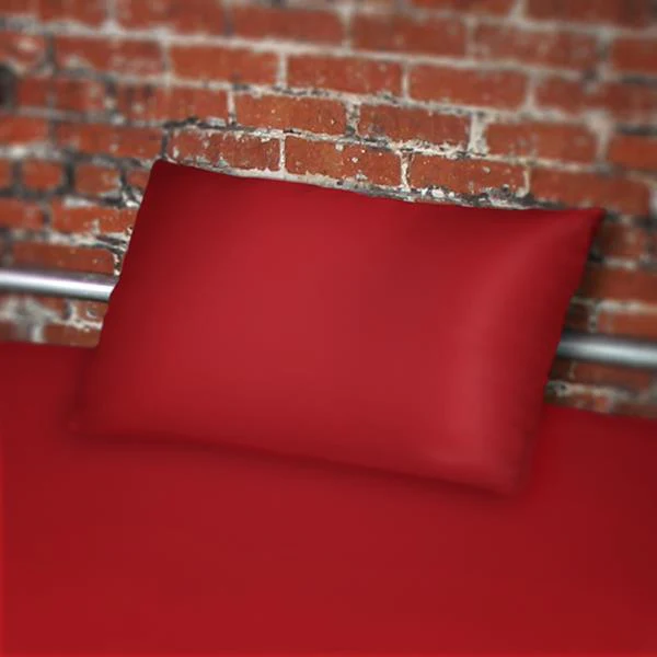 Sheets of San Francisco Pillow Case, Standard, Red