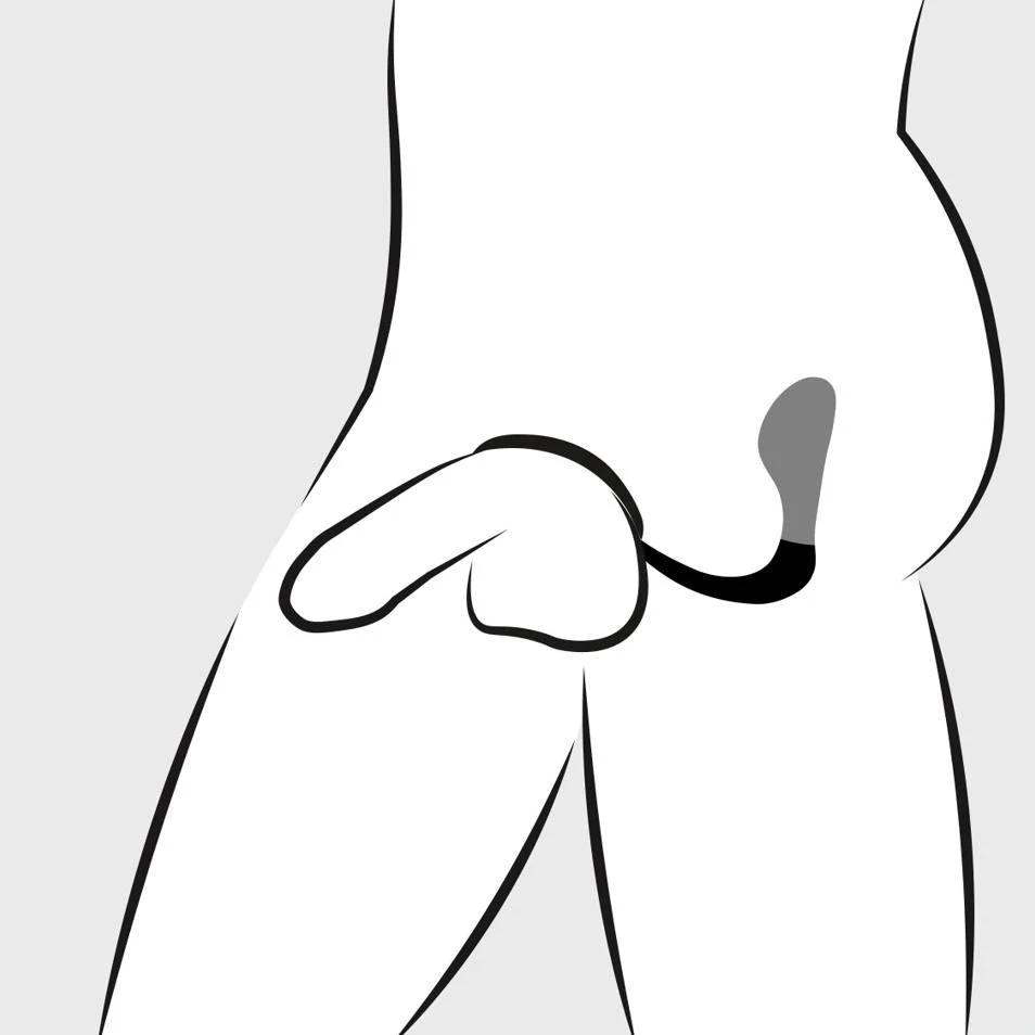 Ass-Gasm Cockring P-Spot Plug - Image 4