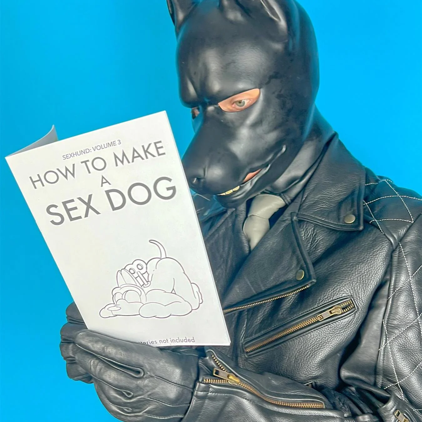 How to Make a Sex Dog V3 (A5 Zine)
