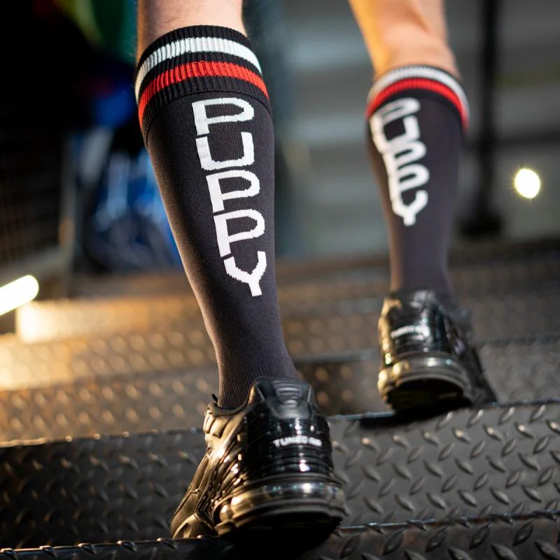 Football Socks, Puppy, Black/Red/White