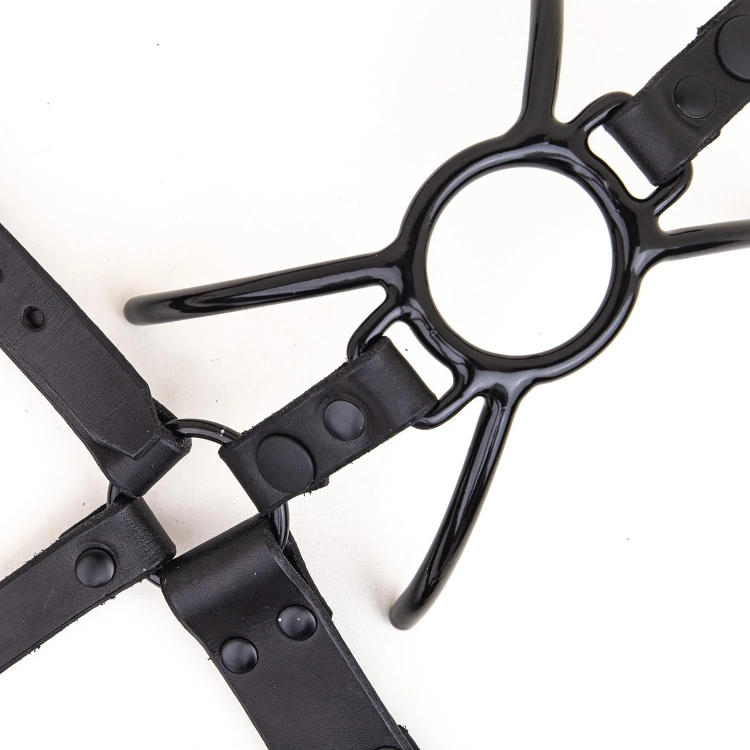 Rubber Coated Spider Gag add on for Nose Hook Head Harness - Image 3