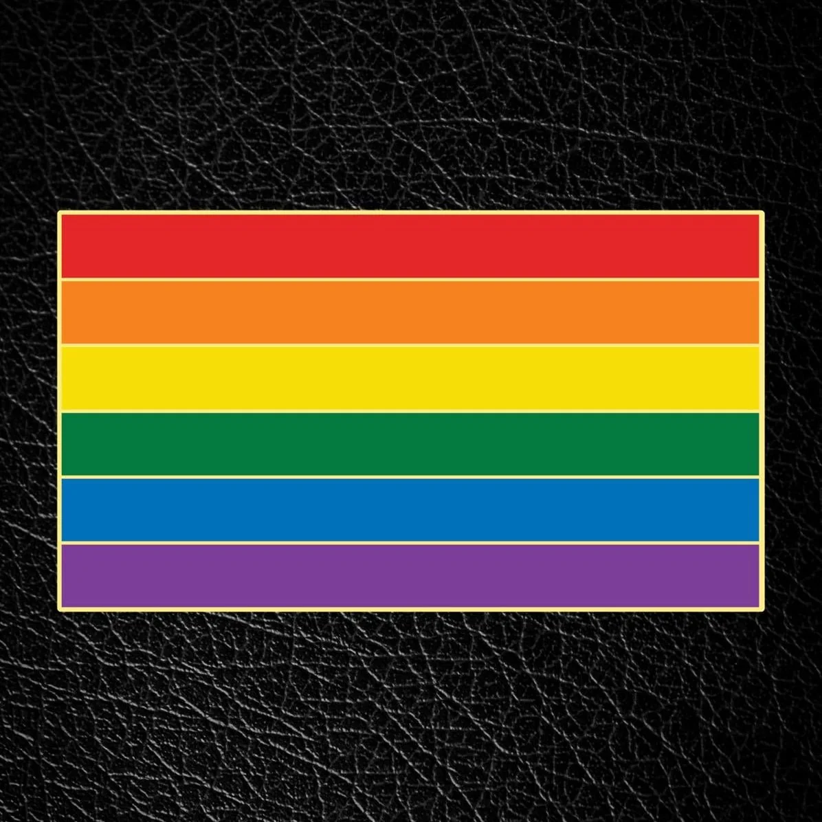 Master of the House Pin, RAINBOW FLAG