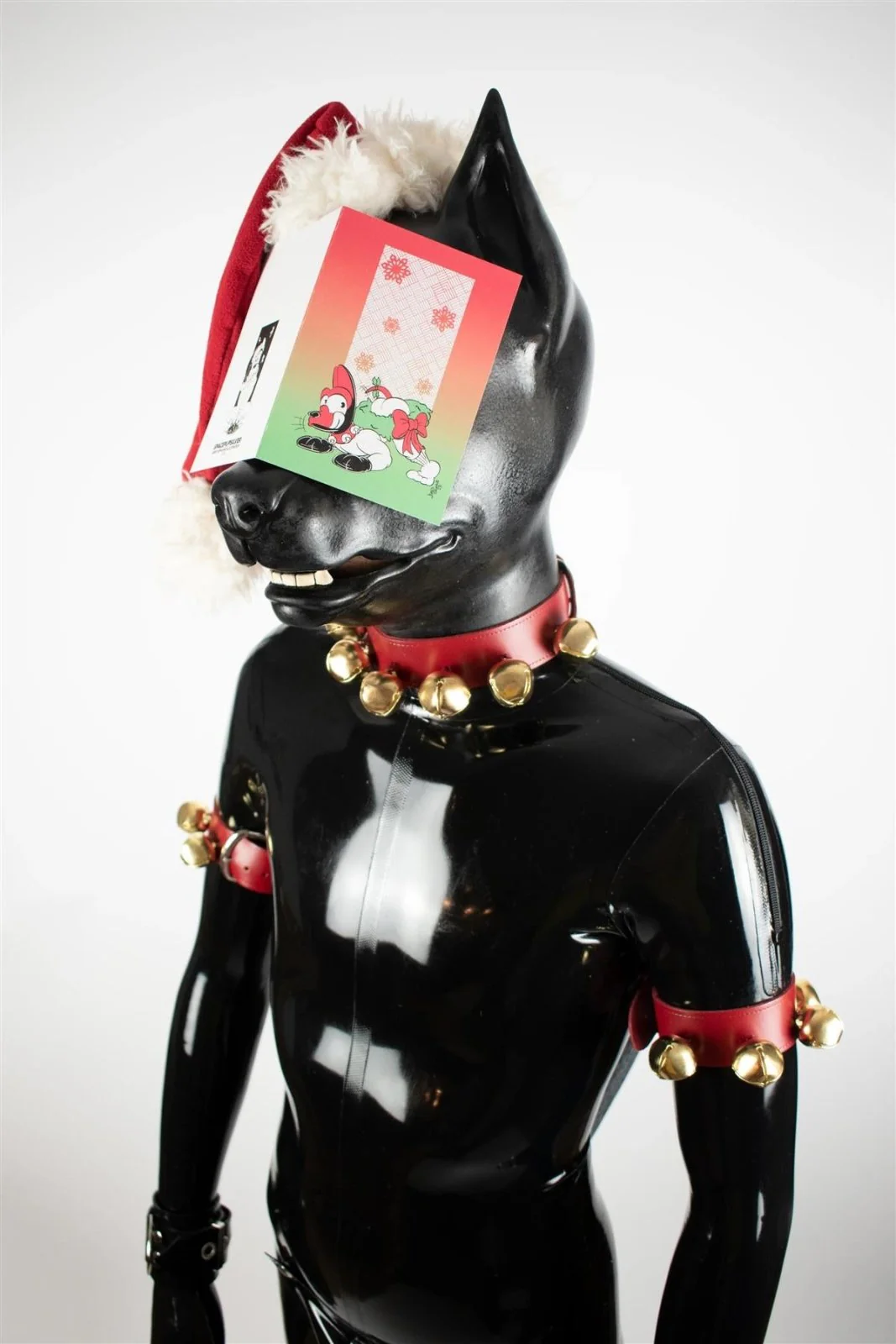 "Dog" Xmas Card Pack - Image 2
