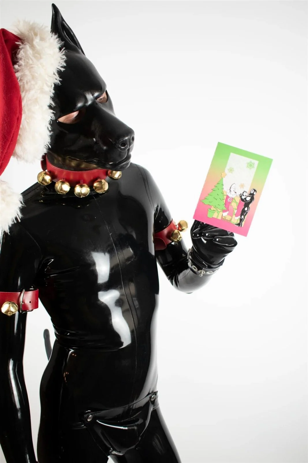 "Dog" Xmas Card Pack - Image 6