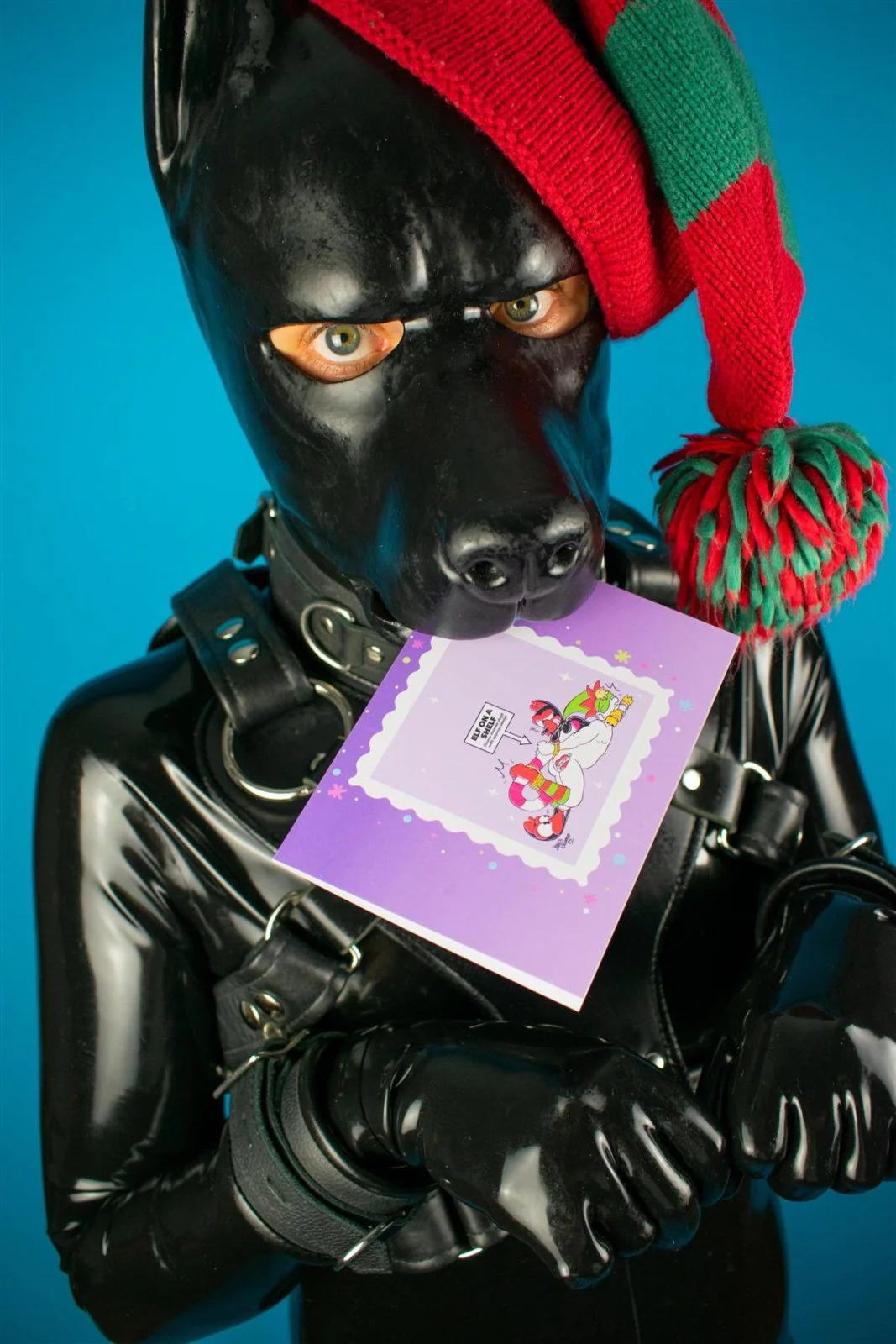 "Dickoration" Xmas Card Pack - Image 4