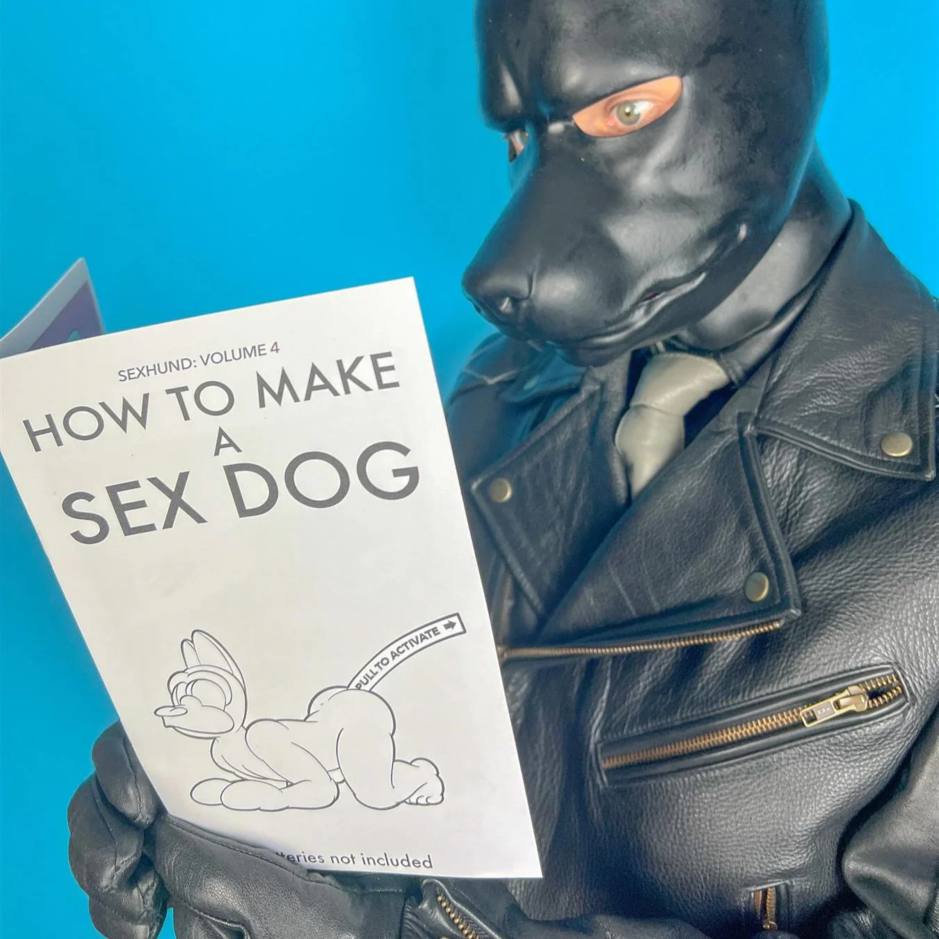 How to Make a Sex Dog V4 (A5 Zine)