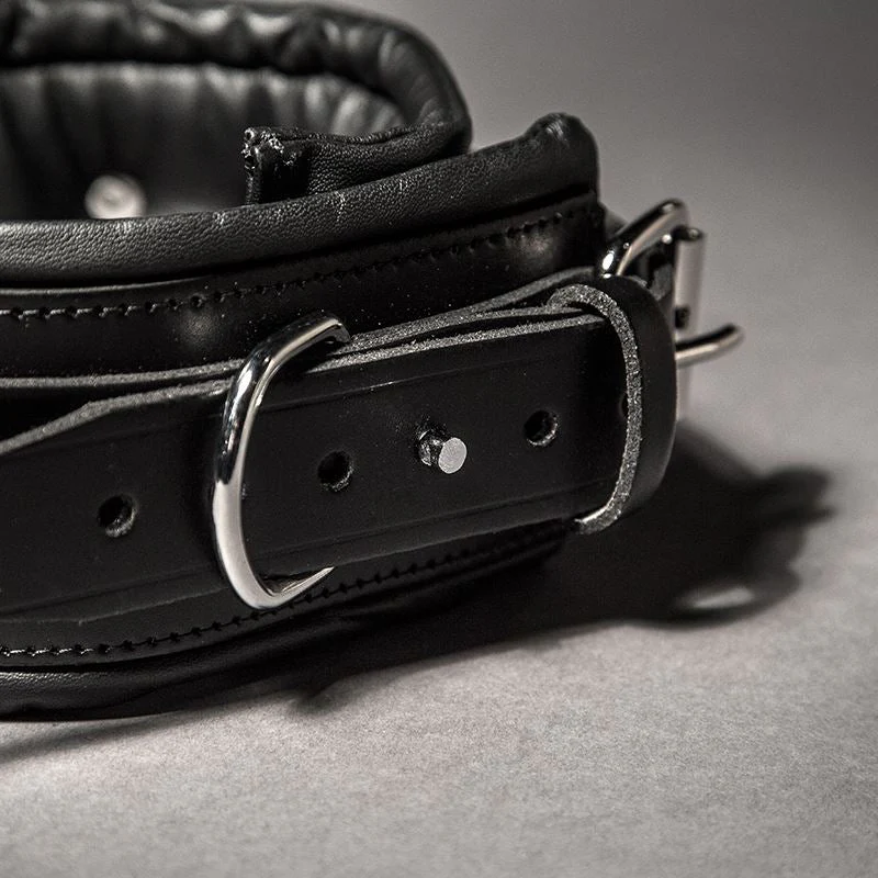 Padded Leather Collar