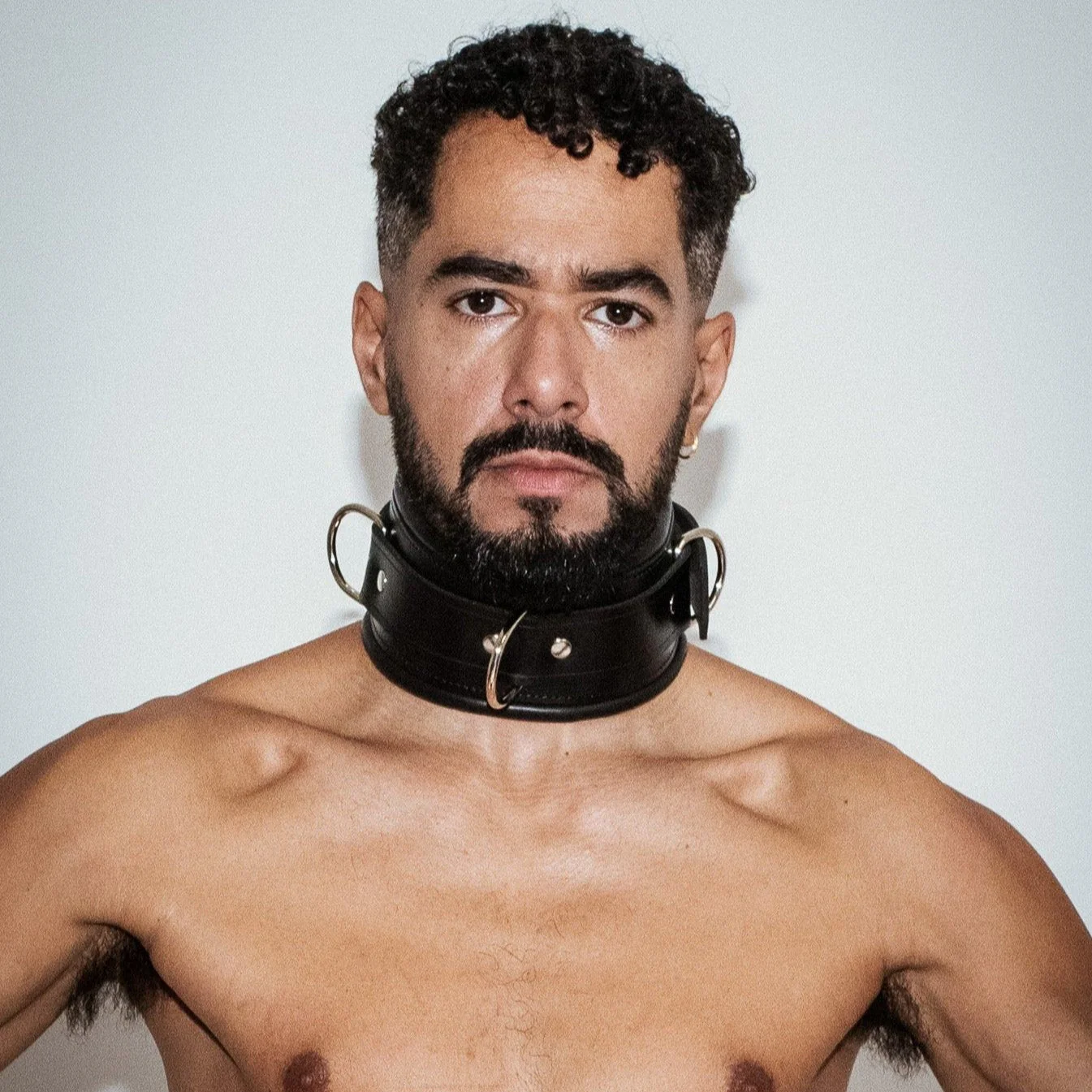 Padded Leather Collar - Image 2