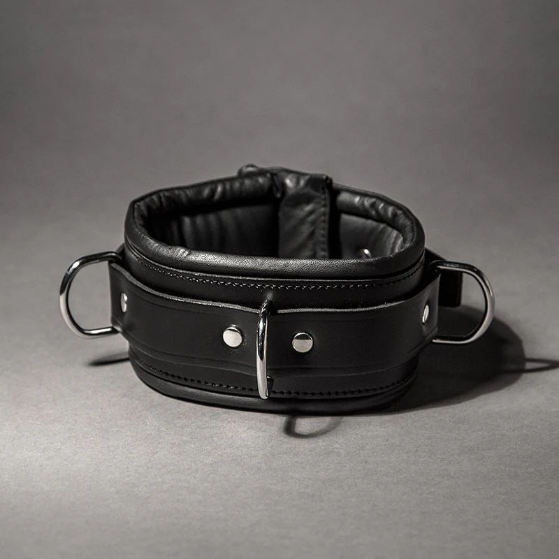 Padded Leather Collar - Image 4