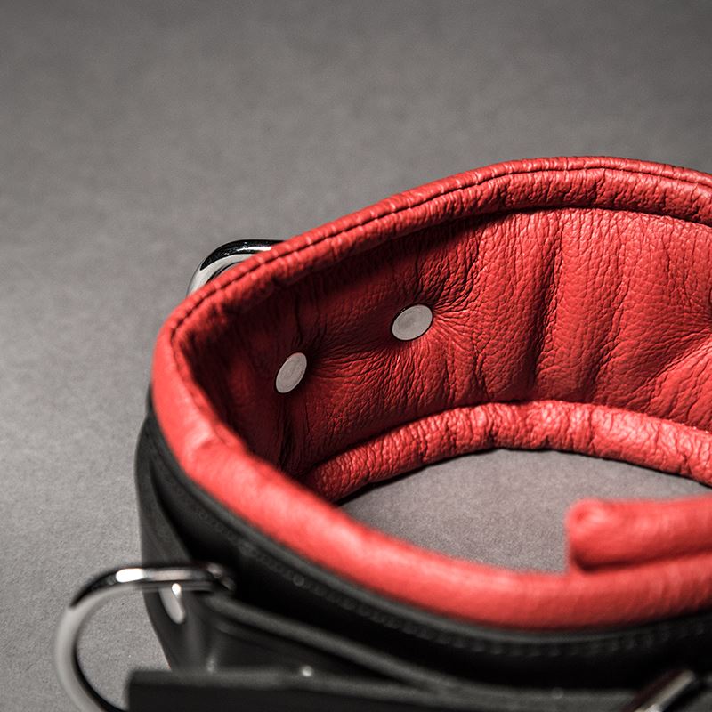 Padded Leather Collar - Image 5