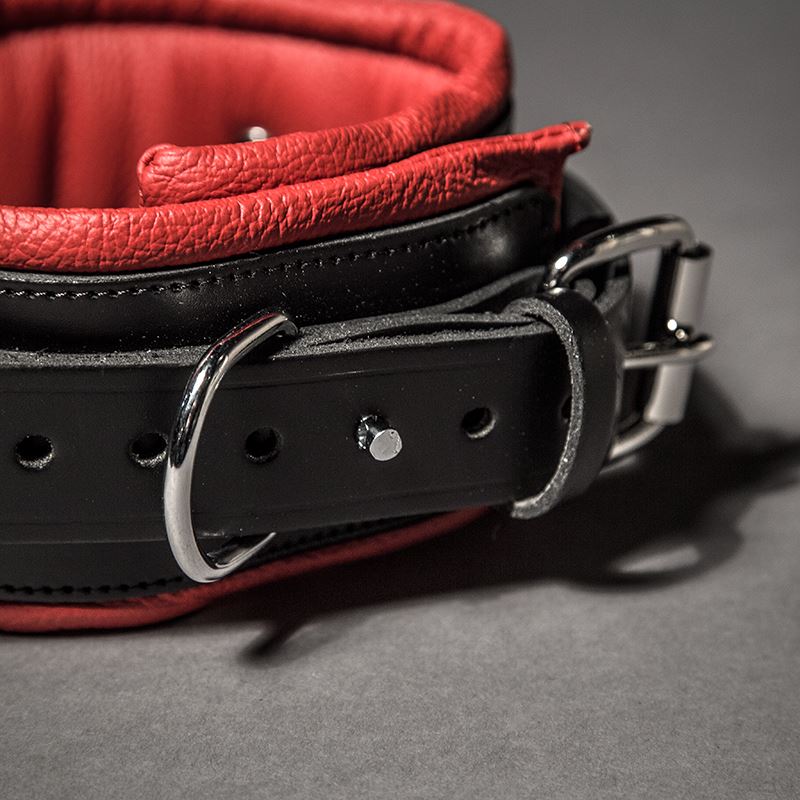 Padded Leather Collar - Image 6