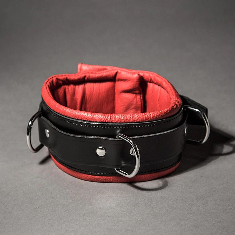 Padded Leather Collar - Image 7