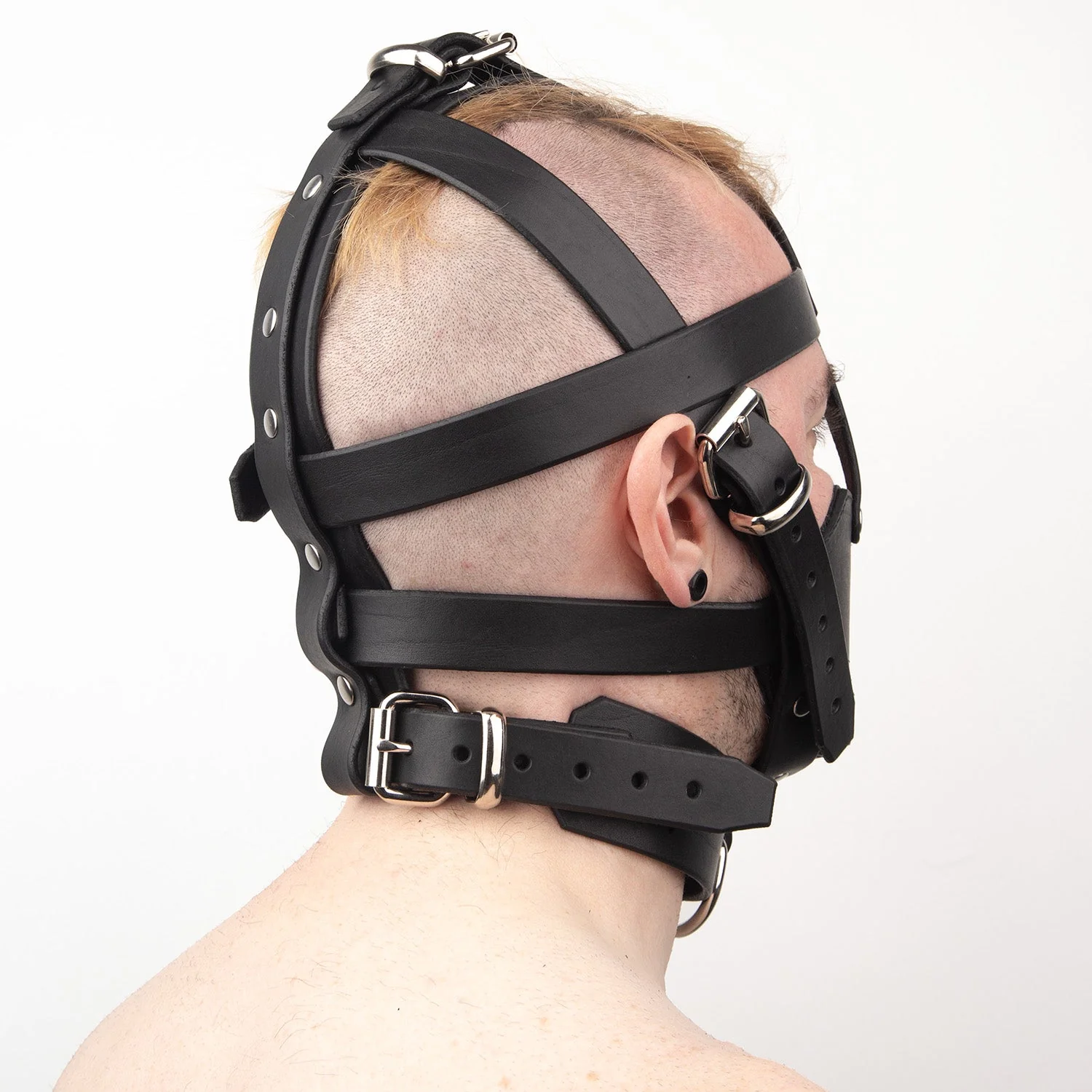 Fetters Padded Leather Muzzle - Image 6