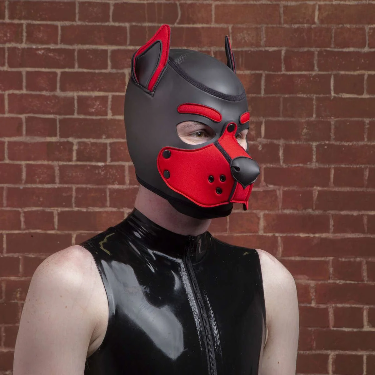 K9 Puppy Hood, Red - Image 2