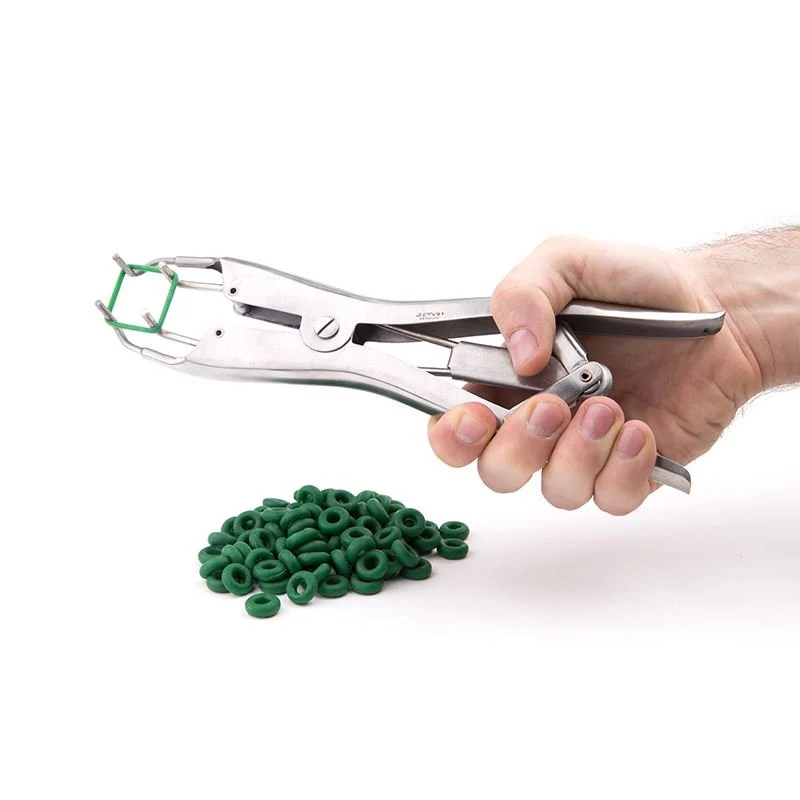 Torture Plier Set - Elastrator