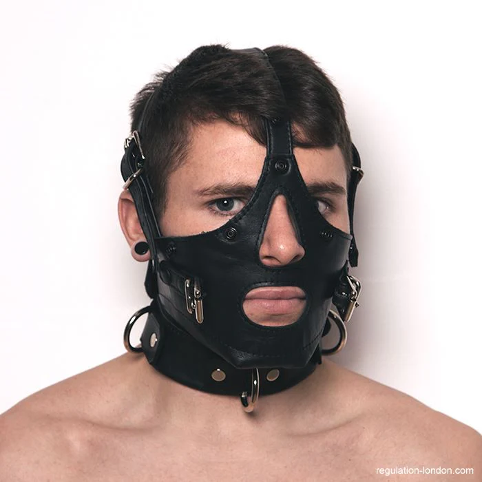 Bishop Head Harness - Image 4