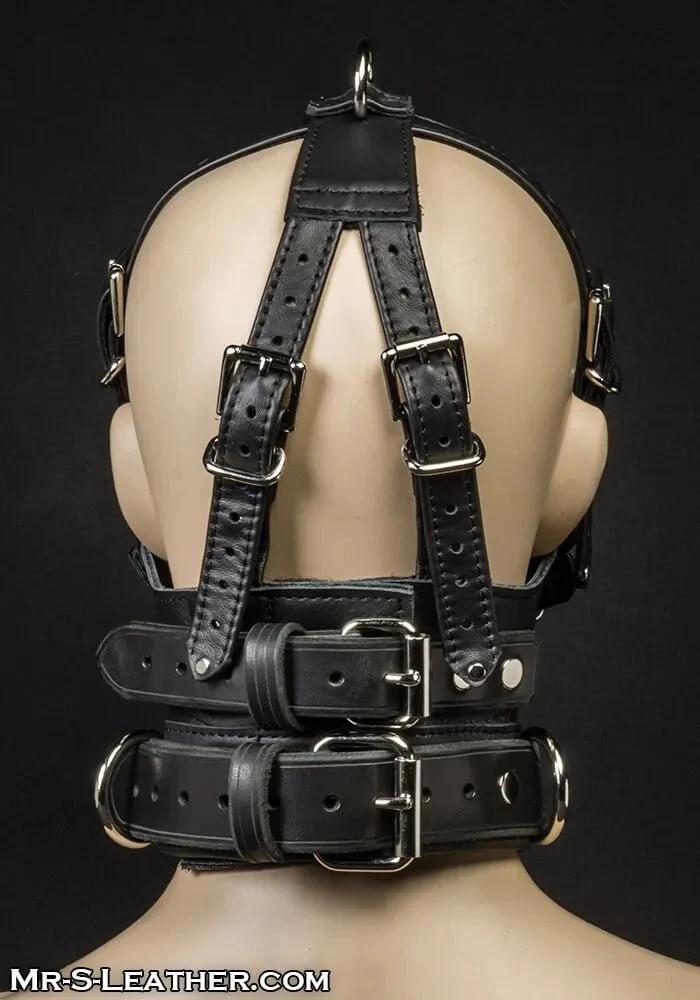 Bishop Head Harness - Image 6