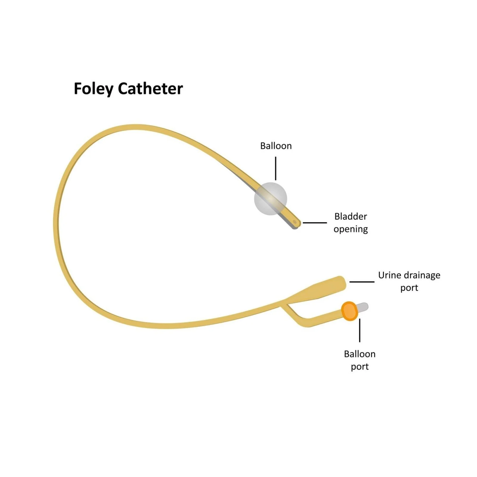 PTFE Aquaflate Urinary Male Balloon Catheter, Latex - Image 4