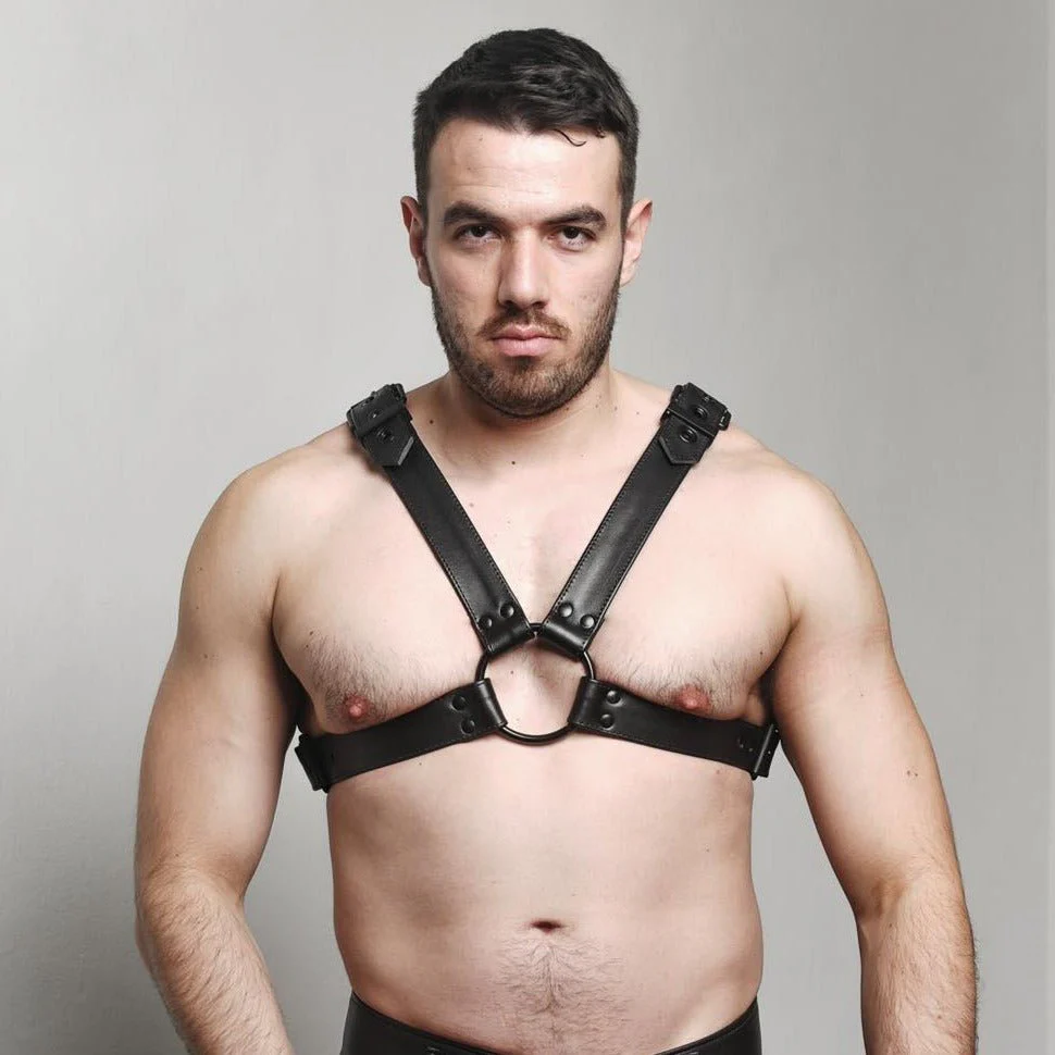 Spitzer Leather Harness